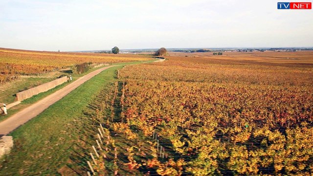 Les Climats du Vignoble de Bourgogne