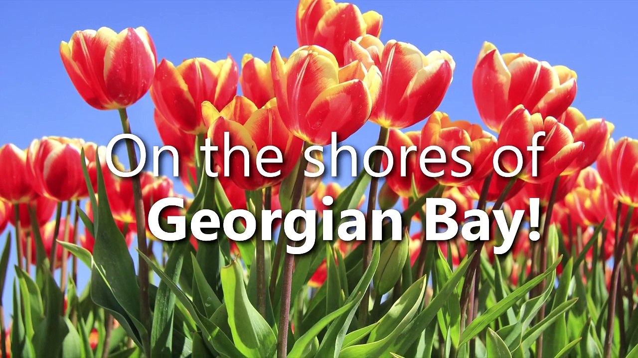 Cottages for Sale in Collingwood and Wasaga Beach ON - Contact Royal LePage Trinity Realty