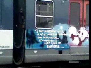 Ligne b graff sur train