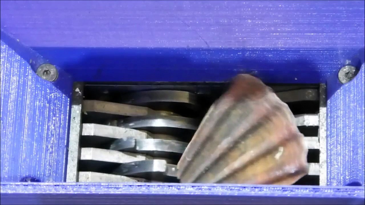 FilaMaker mini shredder crushing shellfish, clams, seashells for calcium