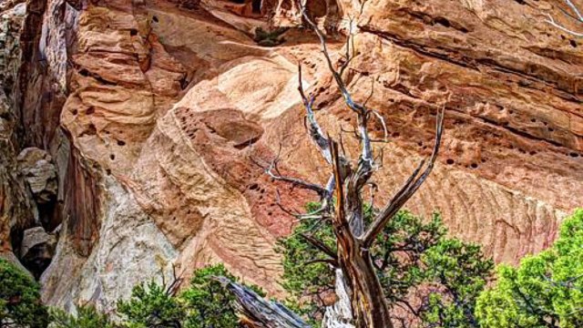 Private School in Salt Lake City Utah