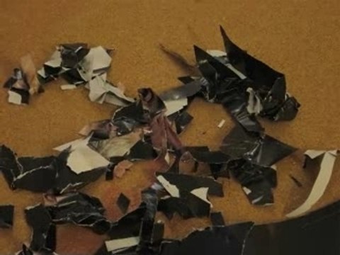 Eponge dune nuit dete