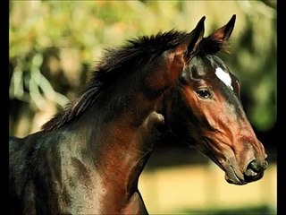 Hans Zimmer- Homeland (Main Title) Spirit-El corcel indomable BSO