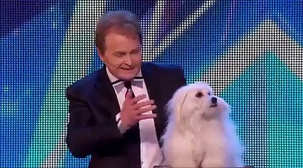 OMG!!!!!!!!!!! ITS UNBELIEVEABLE TALKING DOG REVEALED FOR THE FIRST TIME EVER MUST WATCH