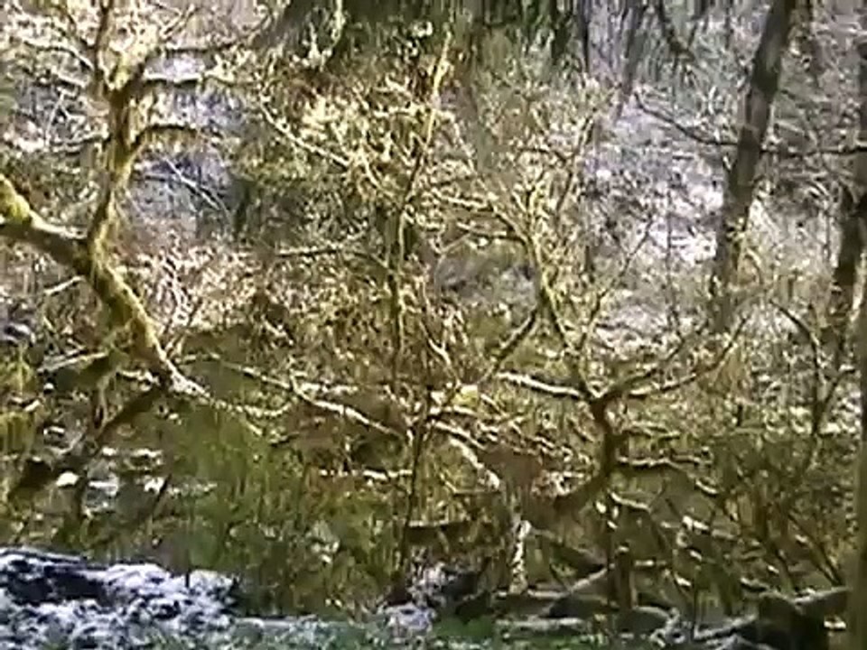 Walk For Liberty Day 6 - Dead End