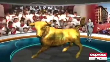 اسپین میں ہوا بیلوں کی دوڑ کا سالانہ میلہ