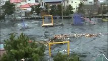 НЕЧТО выпрыгнуло из воды во время Цунами-приколы бесплатно