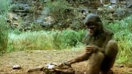 La prehistoria. 5º primaria