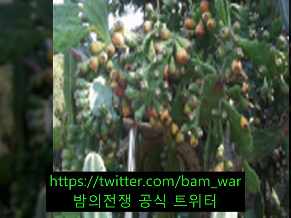 「신림핸플 핸들링」 え 오룡핸플【 밤워 】 ピ 광명핸플