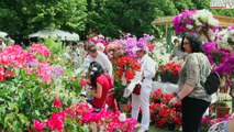 Les Journées des Plantes aux Jardins d'Albertas 2015