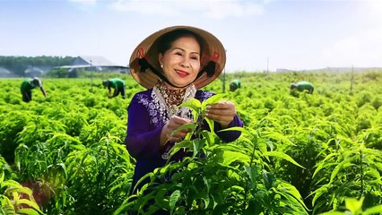 Công ty Sản Xuất phim Quảng Cáo, quay tvc quảng cáo