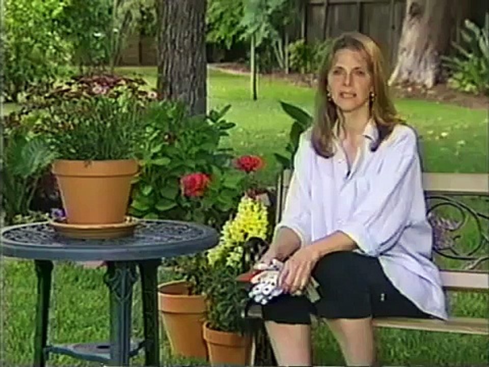Other Lindsay Wagner PSA