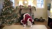 Santa Dances to Breakbot - 