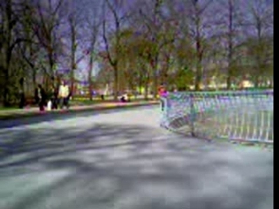 enzo skate
