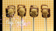 Teddy Graham S'mores Pops - tiny teddies little bears - easy cute marshmallow choc treat