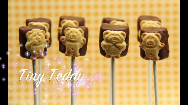 Teddy Graham S'mores Pops - tiny teddies little bears - easy cute marshmallow choc treat