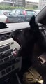 Un chien découvre la climatisation dans une voiture