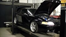 1999 Mustang Cobra Procharger with new numbers!
