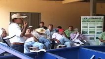 Ganaderia y Agricultura en los Llanos orientales