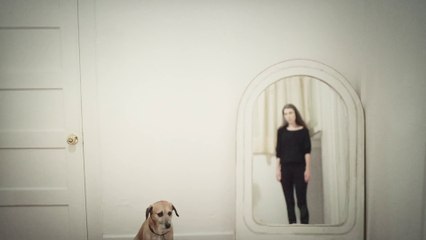 Julia Holter - Feel You (Official Video)