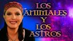Los Animales y los Astros - Signos y Predicciones por Jimena La Torre