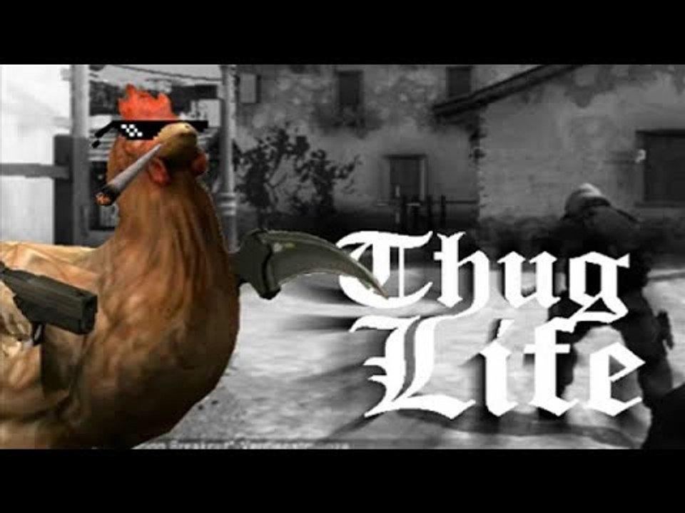 CE POULET MANQUE DE RESPECT x1000000