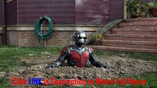 Ant-Man(2015) film Torrents Download