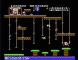 Donkey Kong Jr - NES Gameplay