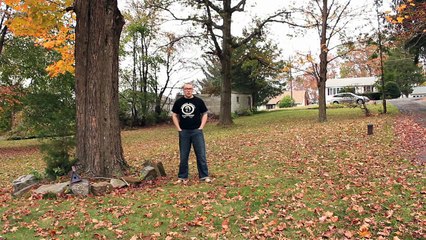 Justice- Audio, Video, Disco ALBUM REVIEW