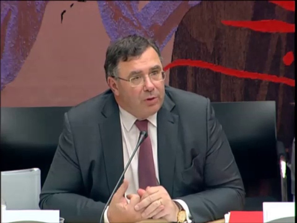 Seybah Dagoma - Audition de M. Patrick Pouyanné, Directeur général et Président du Comité Exécutif de Total - 8 juillet 2015