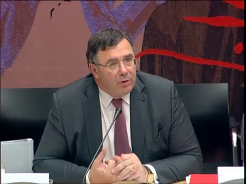 Seybah Dagoma - Audition de M. Patrick Pouyanné, Directeur général et Président du Comité Exécutif de Total - 8 juillet 2015