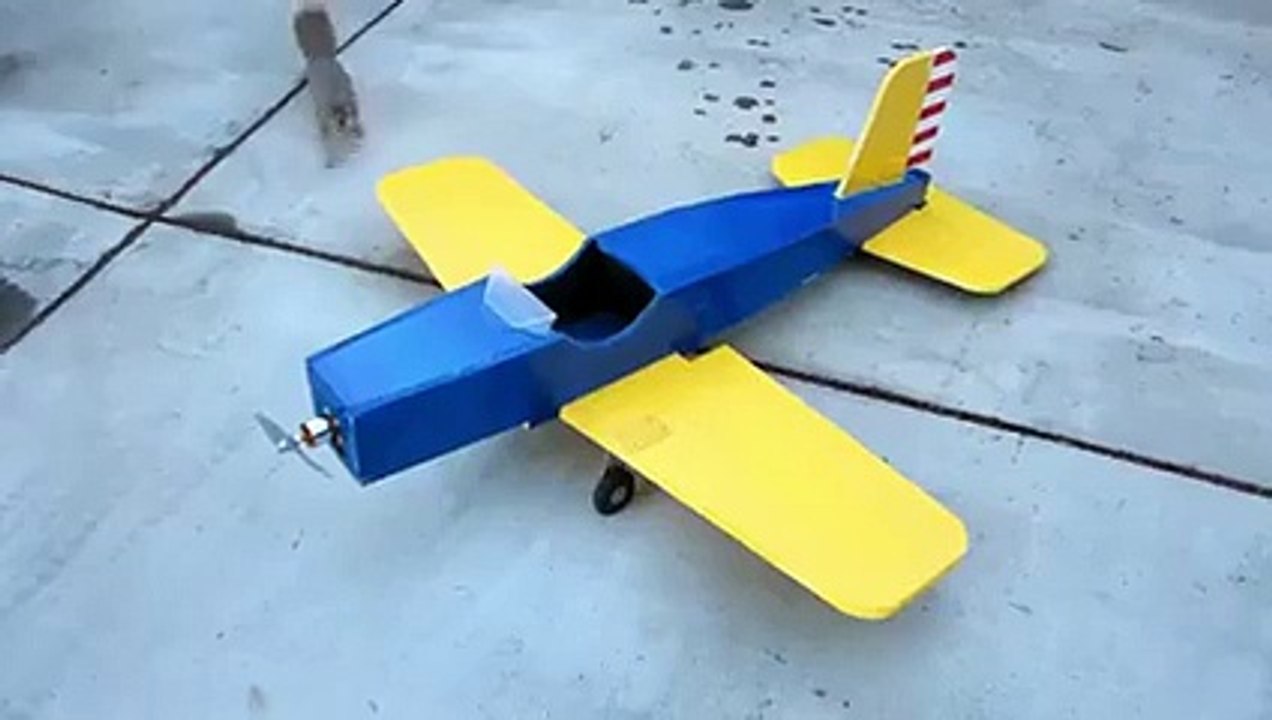 You Thoughts Squirrel Fly Plain ?