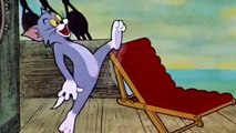 Tom and Jerry Cartoon - Dicky Moe