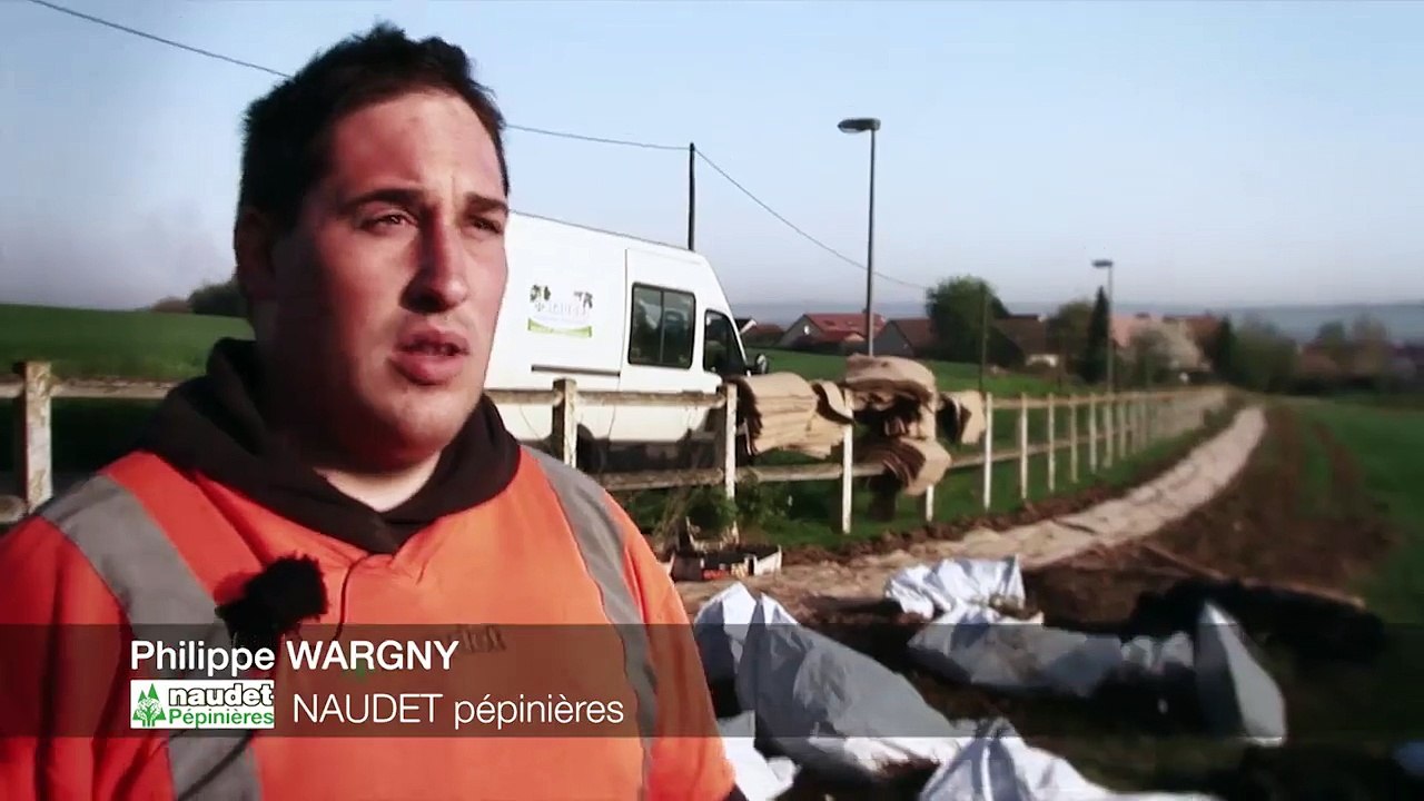 extrait 2 - LES HAIES RURALES