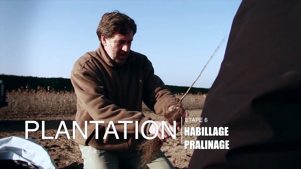 extrait 3 - LES HAIES RURALES