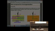 Conférence de Jianji Yang, optical metamaterials with negative refractive index