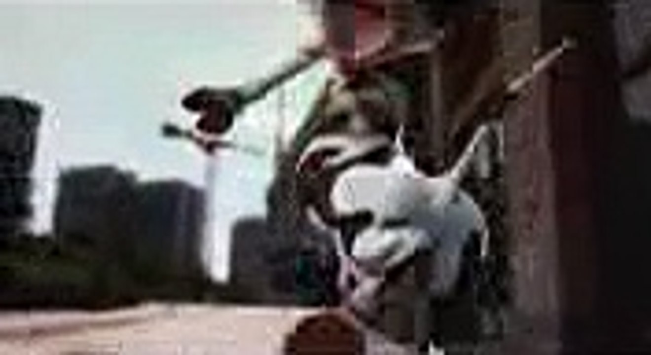 La vache qui chante et dance