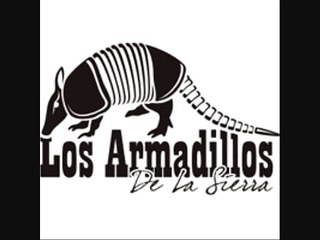 los armadillos de la sierra  ♣♣ el corrido de los herrera.♣♣
