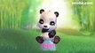 Cute Panda Rant! (NSFW Language)