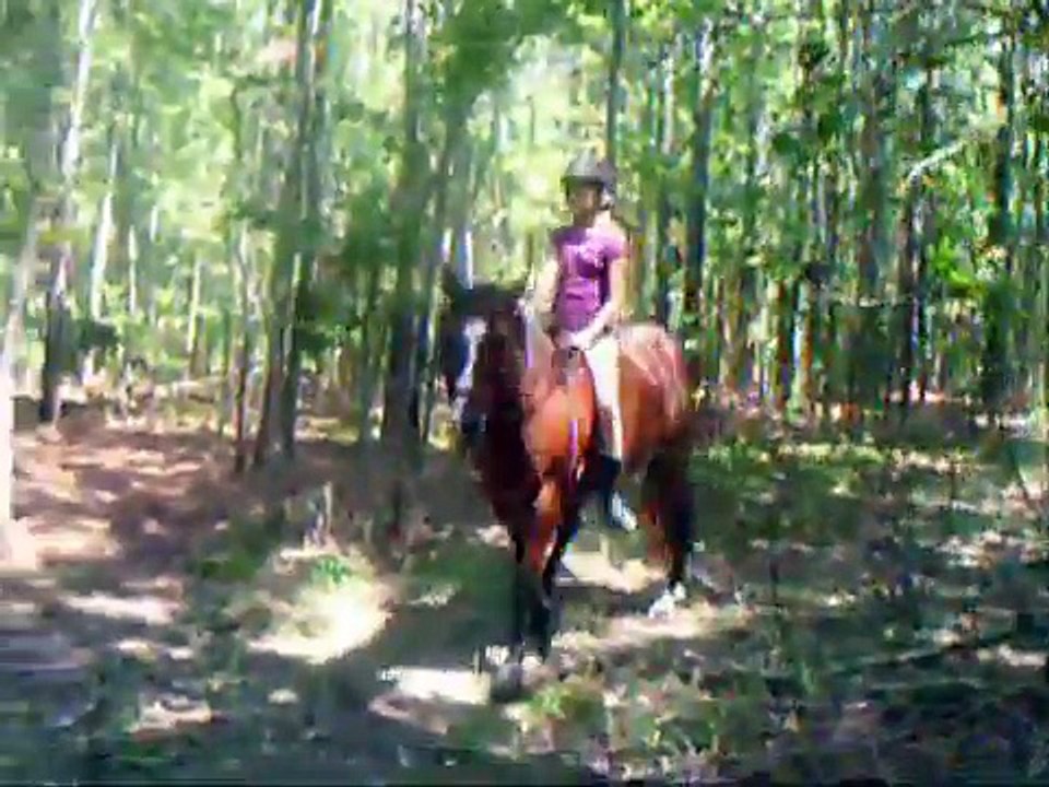 bareback fun