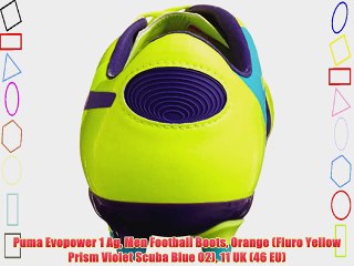 puma evopower 1 ag puma evopower 1 ag