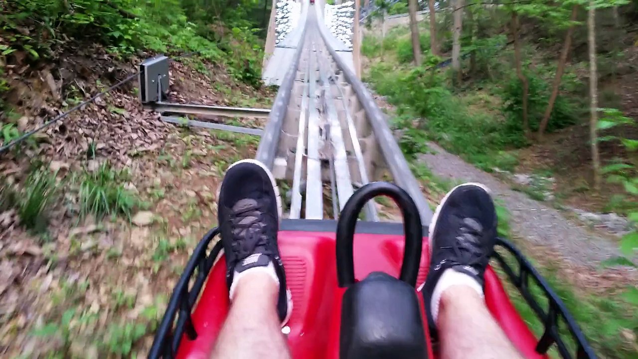 mountain coaster