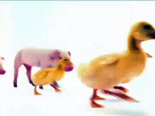 Telus Commercial Recut