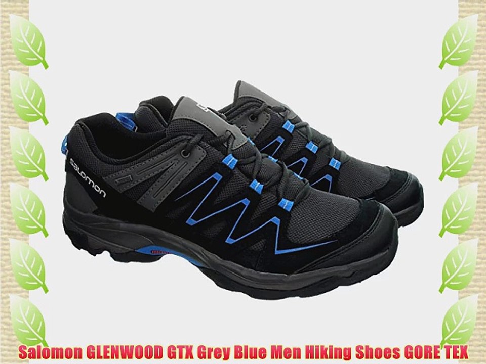 Salomon GLENWOOD GTX Grey Blue Men Hiking Shoes GORE TEX