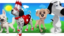 3D Dog Finger Family Collection 3D Dog Cartoon Animation Nursery Rhymes for Children