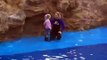 Sea World San Diego - Fun with Dolly the dolphin
