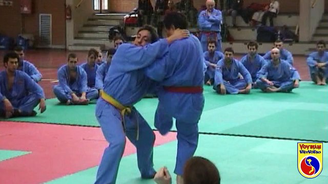 VOVINAM VIET VO DAO - Italiano