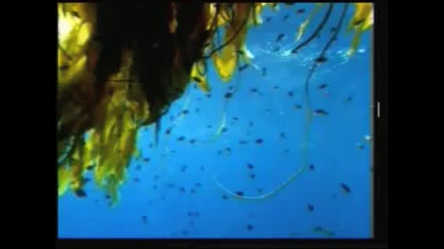 jews and christians in Quran